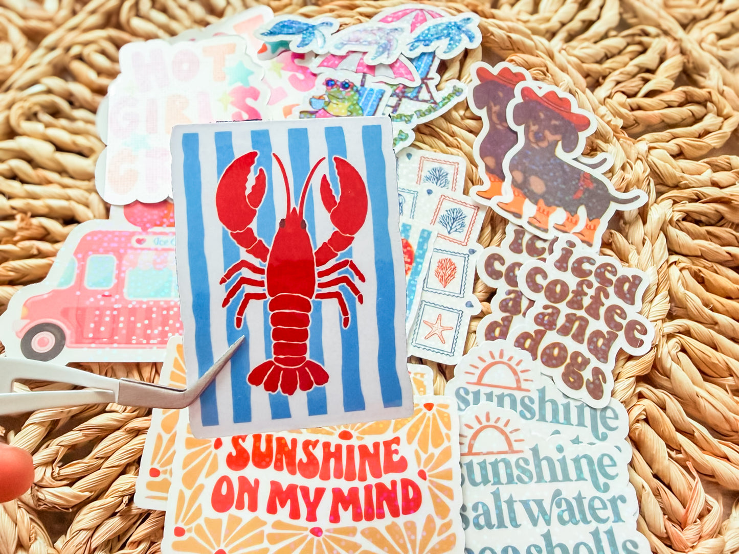 Beach Bum Lobster Magnet 🦞